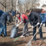 Субботник - Город Сорск