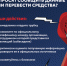 Защитите себя от мошенников! - Город Сорск