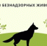 Отлов бродячих животных - Город Сорск