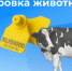 Маркирование скота. - Город Сорск